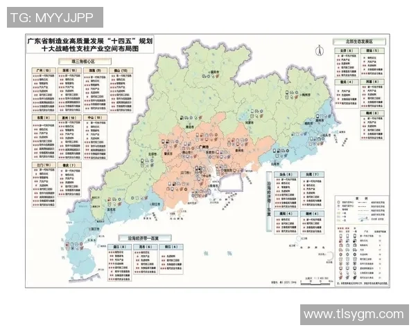 足球场上球星专属区域的战略布局与技术优势分析